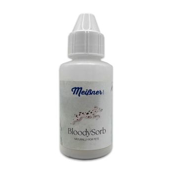 Blutstiller